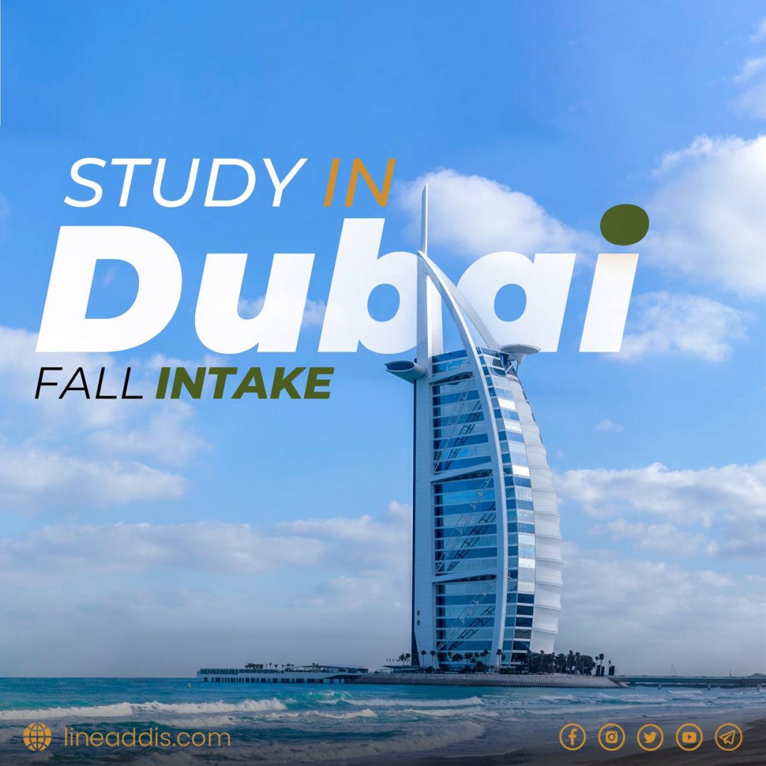 Study In Dubai 